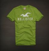 Camiseta Hollister