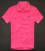 Polo Hollister