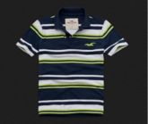 Polo Hollister Listrada