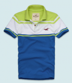 Polo Hollister Listrada