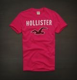 Camiseta Hollister