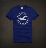 Camiseta Hollister