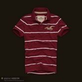 Polo Hollister Listrada