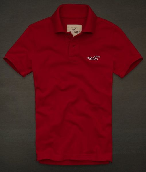 Polo Hollister