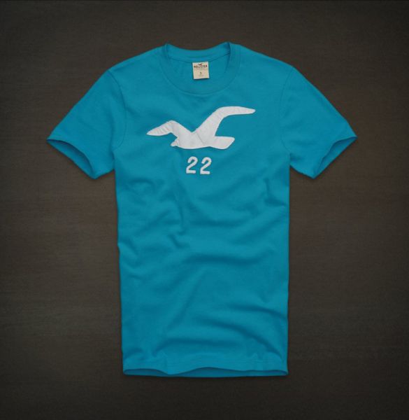 Camiseta Hollister