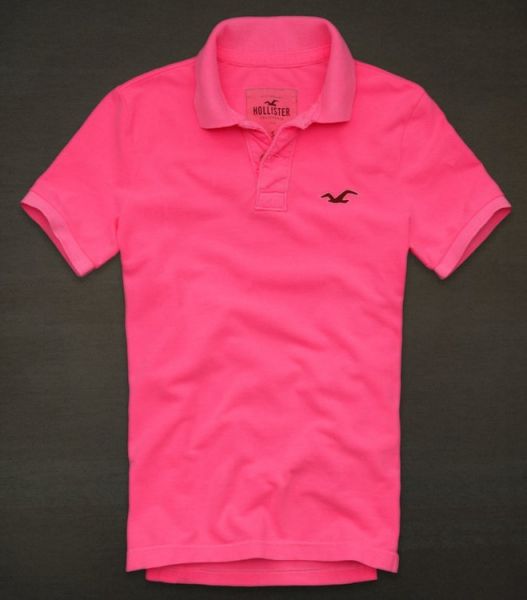 Polo Hollister