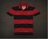 Polo Hollister Listrada