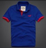 Polo Hollister