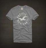 Camiseta Hollister