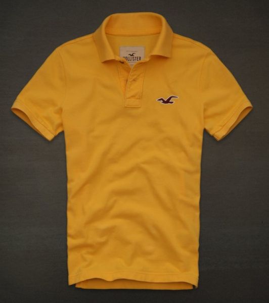 Polo Hollister