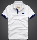 Polo Hollister