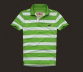 Polo Hollister Listrada