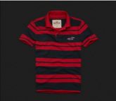 Polo Hollister Listrada