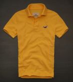 Polo Hollister