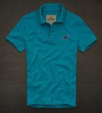 Polo Hollister