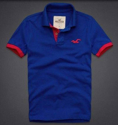 Polo Hollister