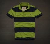 Polo Hollister Listrada