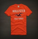 Camiseta Hollister