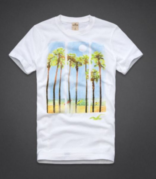 Camiseta Hollister