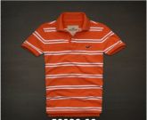 Polo Hollister Listrada